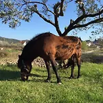 Ella Apartmán Peracko Blato