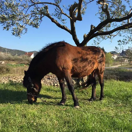 Ella Apartman Peracko Blato