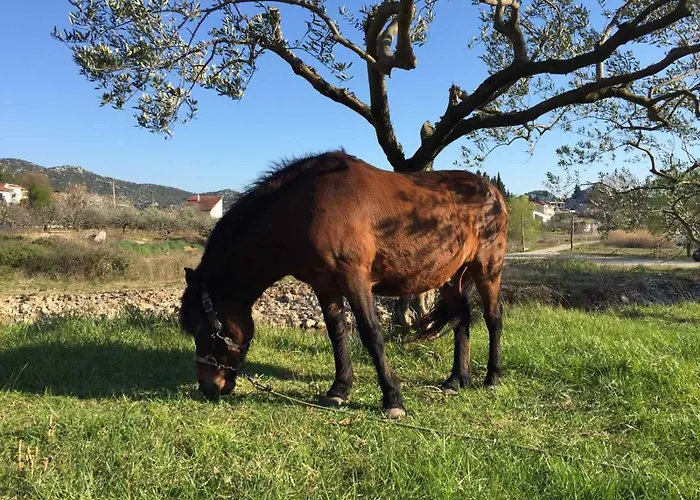 Ella Lägenhet Peracko Blato