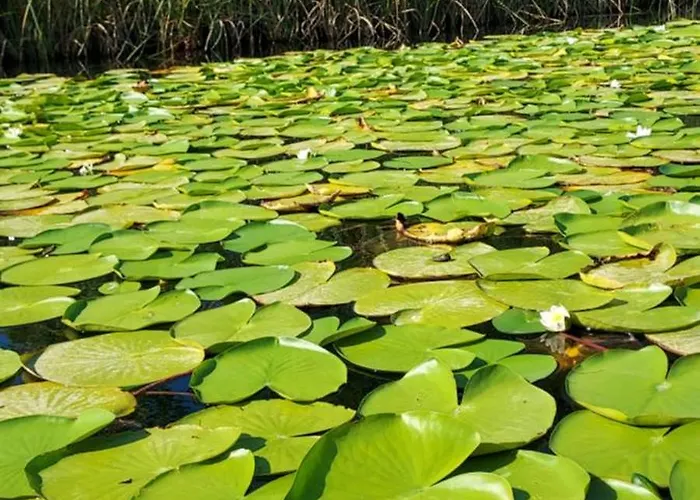 Ella Lägenhet Peracko Blato